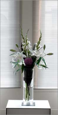 harley street dental practice